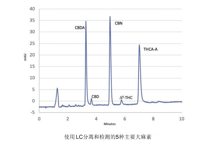 高效液相色谱仪测定CBD含量 应用于水果保持更长时间的新鲜度
